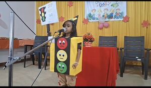 25258 Fancy dress.jpg