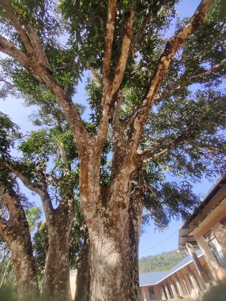 പ്രമാണം:30065 2022 87.jpg