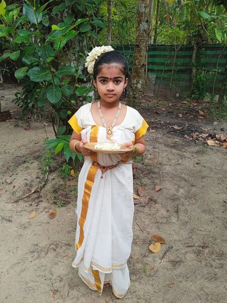 പ്രമാണം:36278 ker3.jpeg