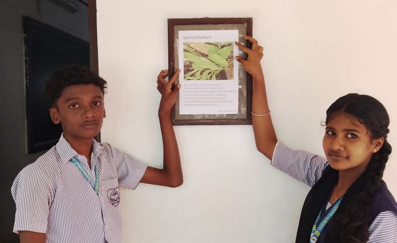 പ്രമാണം:41101 TKMHSS eco club (11).jpg