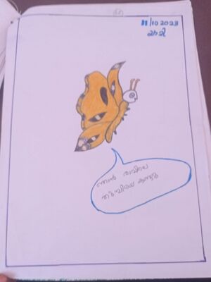 41634-KLM-KUNJ-Yami (4).jpeg