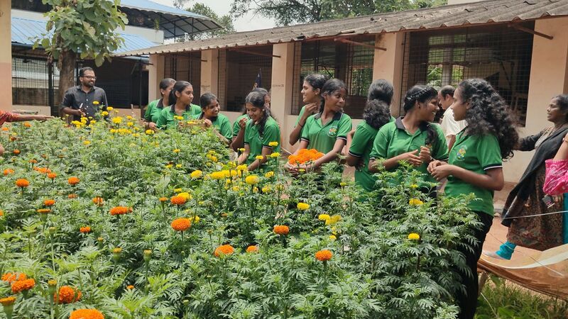 പ്രമാണം:42008 flower2502.jpg