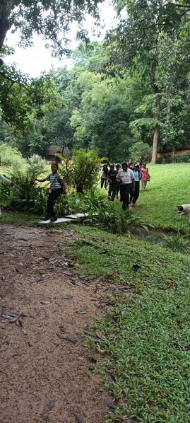 പ്രമാണം:42042 BOTANICAL4.jpg