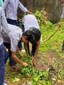 14:29, 11 നവംബർ 2024-ലെ പതിപ്പിന്റെ ലഘുചിത്രം