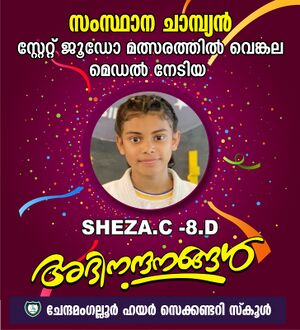 State Judo Champion.jpg