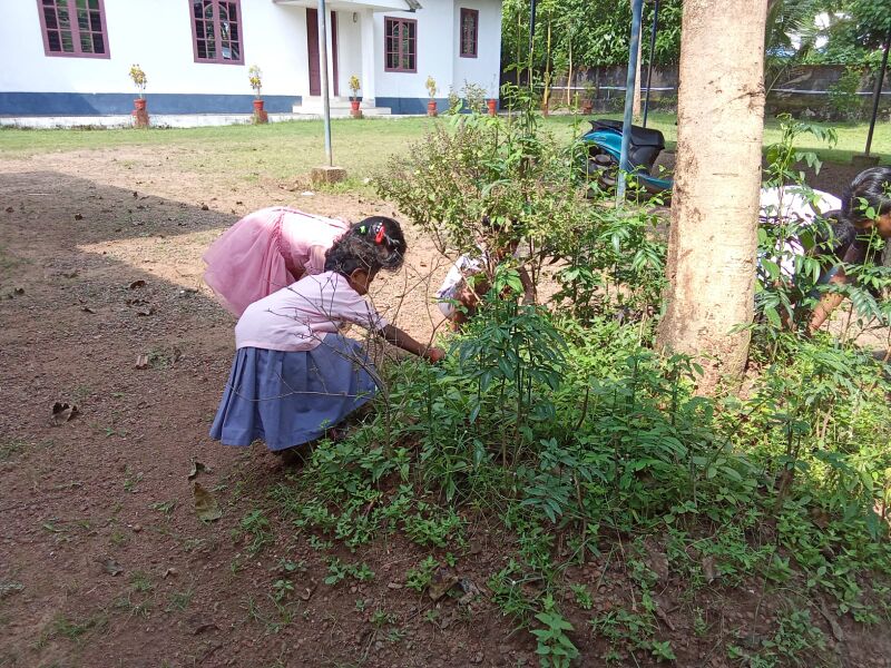 പ്രമാണം:WhatsApp Image 2024-11-01 at 13.19.15.jpg