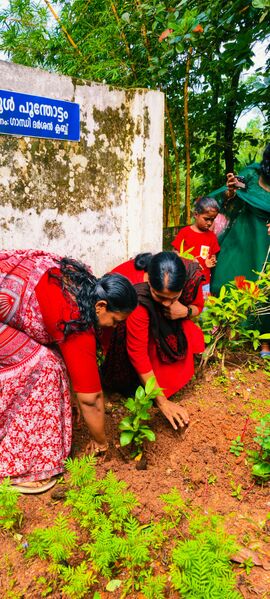 പ്രമാണം:പരിസ്ഥിതി ദിനം 42555.jpg