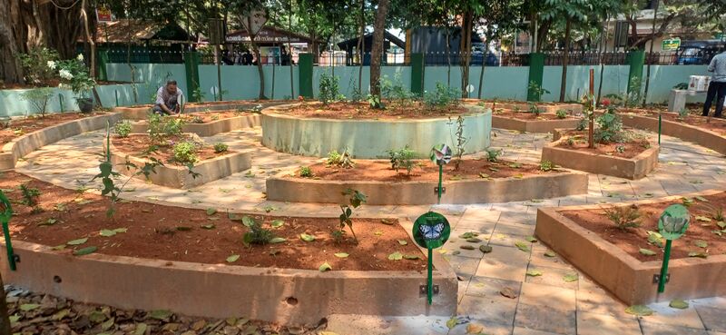 പ്രമാണം:12036 butterfly park 2026 5.jpg