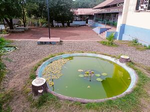 14759 hightech school pond.jpg