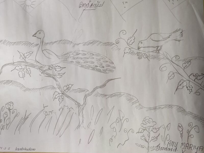 പ്രമാണം:15009 anu mariya 5.jpeg