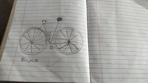 16561-KKD-KUNJ-SELLA FATHIMA MC.jpeg