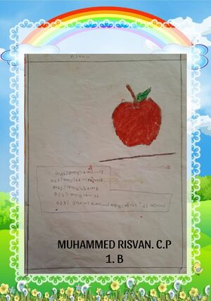 19643-MLP-KUNJ-MUHAMMED RISVAN C P.jpeg