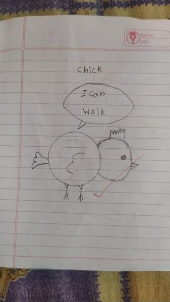 പ്രമാണം:20007-PKD-FATHIMA AYANA C K-Kunj.jpg