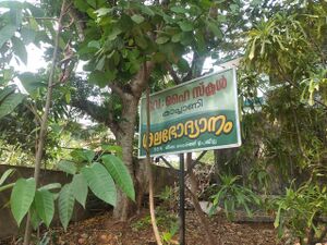 20240418 143830 (1).jpg