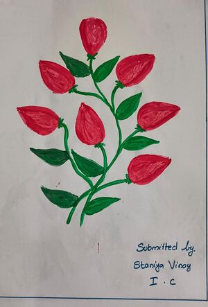 26238-EKM-KUNJ-STANIYA VINOY.jpeg