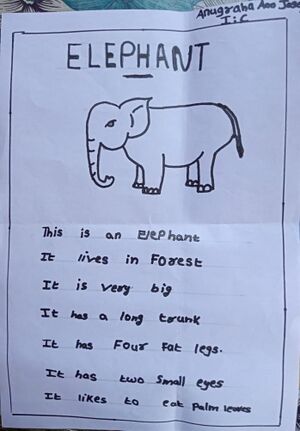 31037-KTM-ANUGRAHA ANN JOSEPH.jpg