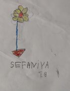 SEFANIYA