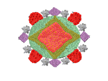 N. M. H. S. Kumbanad