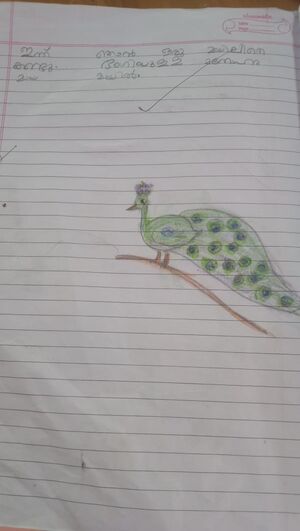 40321-KLM-KUNJ-KARTHIKA B NAIR.jpeg