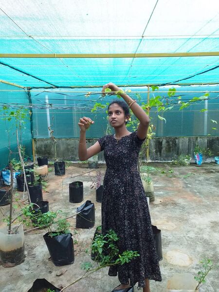 പ്രമാണം:44050 eco 61.jpeg