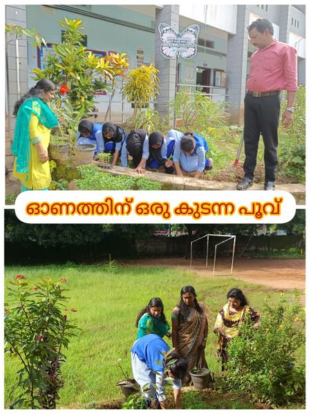 പ്രമാണം:PKD 20062 onam2.jpg