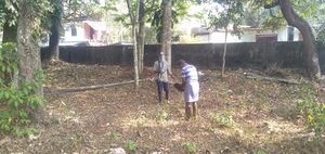 School photo 31 january 2022.jpeg