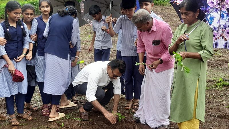 പ്രമാണം:12042 vellari.jpg