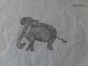 12349-KGD-KUNJ-AADISH A.jpg