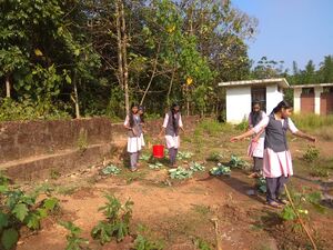 13121 karshika club 11.jpg