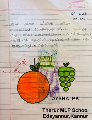 14735-KNR-KUNJ-PK AYSHA 1.jpeg