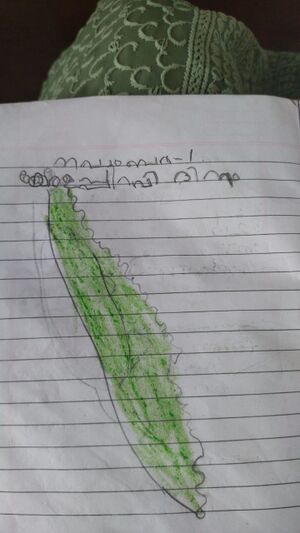 16304-KKD-KUNJ-KASINADHAN N J.jpg