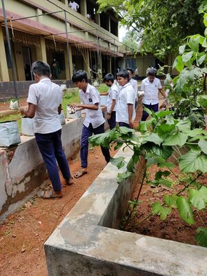 19068noonmeal veg farmiing.jpeg