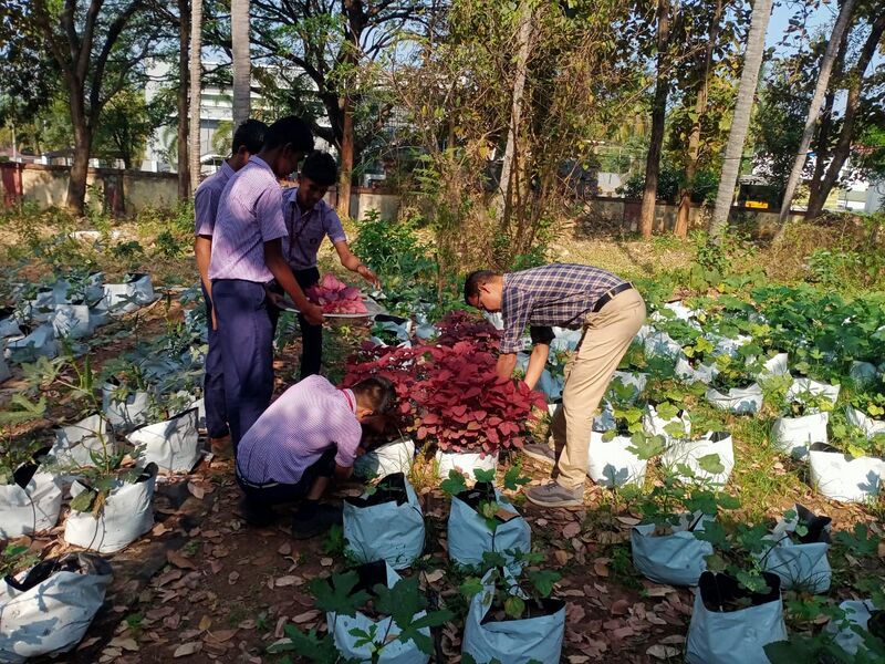 പ്രമാണം:21501 vegetables.jpeg