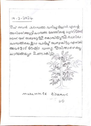 21875-PKD-KUNJ-MUHAMMED RISHAN C.jpeg