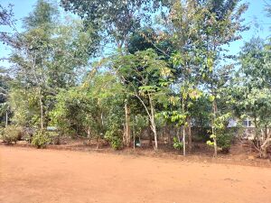 28218 jaivavyvidhyaudhyanam.jpg