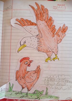 31537-KTM-KUNJ-AMY ALPHONSA THOMAS-.jpg