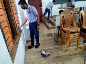 33056 gj oct6 6.jpeg