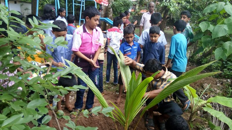 പ്രമാണം:36278 ev6.jpeg