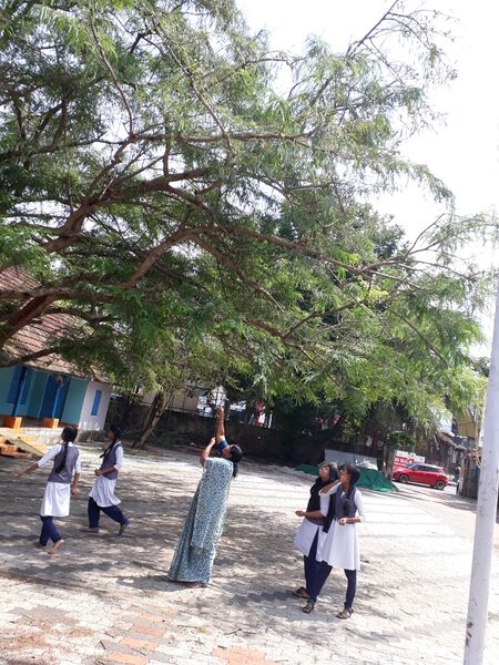 പ്രമാണം:41069 home2.jpg