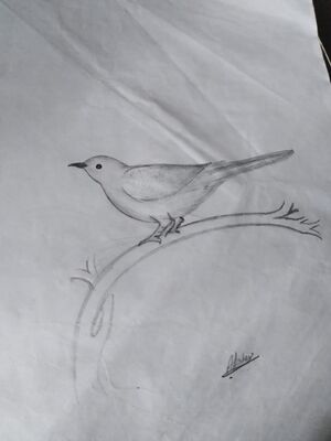 44050 22 12 i35.jpeg