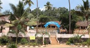 45051 St Marys Girls LP.jpeg