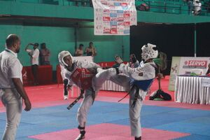 Ksk 2024-Taekwondo-RSC Ekm- 26093-StRitas-11.jpg