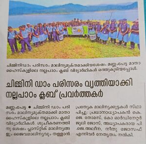 TSR 22071 GREEN STUFF3.jpg