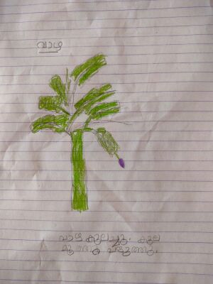 13386-KNR-KUNJ-ADAM IBN FIROZ.jpeg.jpeg