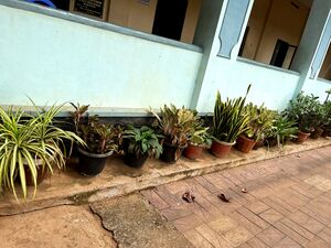 18103 jaivavaividyam 2.jpg