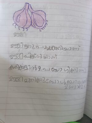 18574-MLP-KUNJ-AIZA .jpg