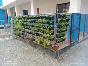 21348 ecofriendly .jpg