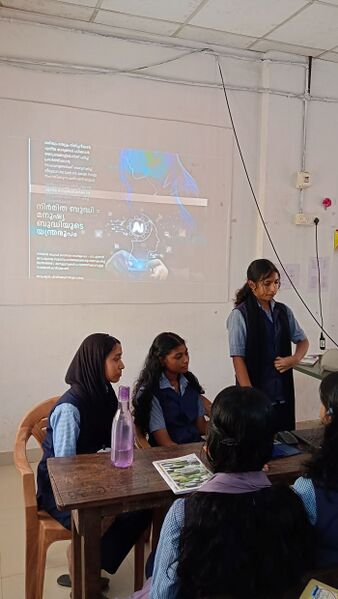 പ്രമാണം:23004kites little.jpg