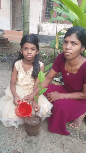 25237-WORLD ENVIRONMENTAL DAY-2025.jpeg