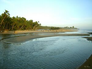 42248-Kappil Estuary.JPG